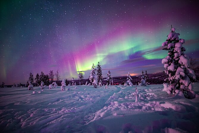 Ski Trekking under the Northern Lights - Backcountry skis and aurora hunting from Rovaniemi