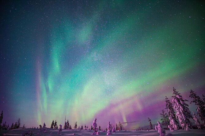 Ski Trekking under the Northern Lights - Should you book Ski Trekking under the Northern Lights?
