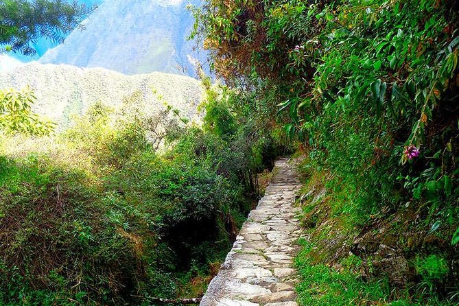 Small Group: 4-Day Inca Trail Trek to Machu Picchu - The Crew: Guides, Chef, and Chasquis Support