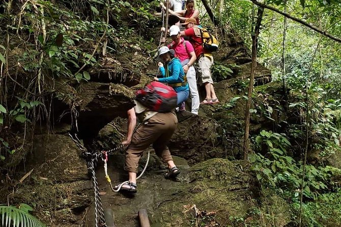 Small Group - Bach Ma National Park Trekking Tour From Hue - Bach Ma National Park From Hue: A Full Day With Real Outdoor Time