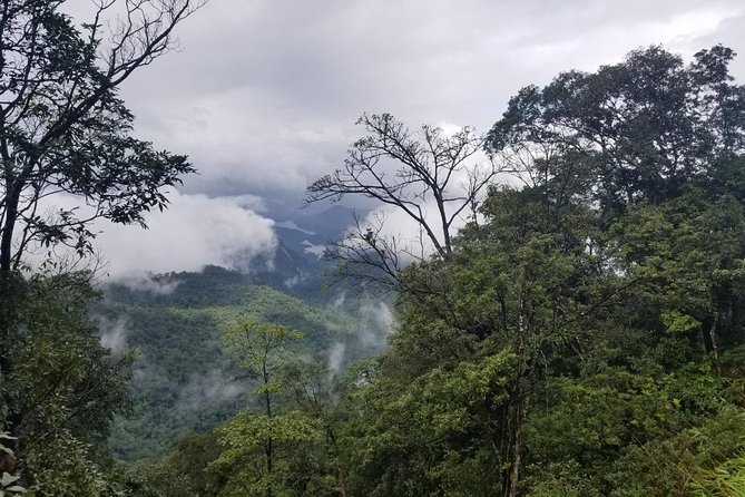 Small Group - Bach Ma National Park Trekking Tour From Hue - Rhododendron Waterfall and the Big Buddha Stop