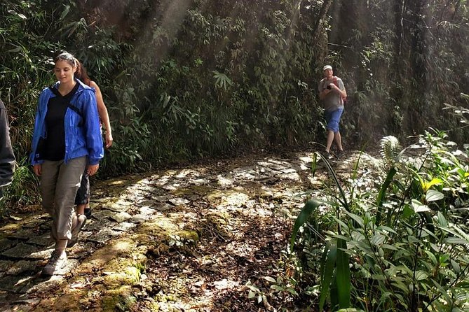Small Group - Bach Ma National Park Trekking Tour From Hue - Hiking Level and Wet-Weather Reality: What to Prepare For