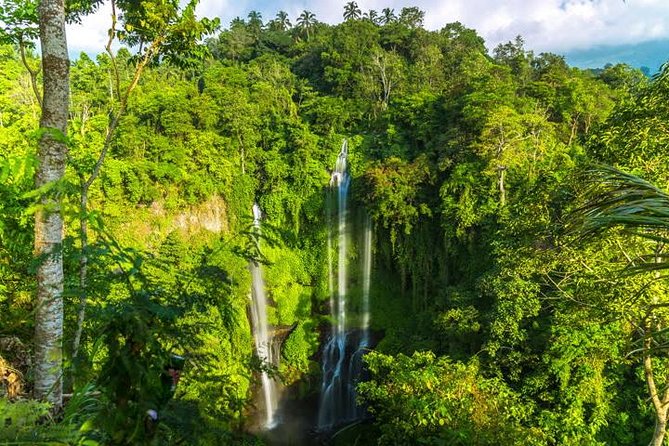 Small-Group Sekumpul Waterfall Jungle Trek with Lunch - The 5:00 am Start and the 12-Hour Flow (How to Make It Work)