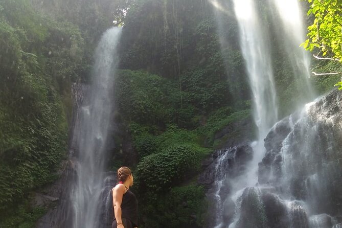 Small-Group Sekumpul Waterfall Jungle Trek with Lunch - The Trek Through Rainforest, Rice Paddies, and Coffee-Clove Farms