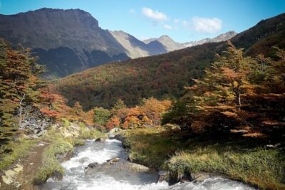 Small group Trekking to Vinciguerra Glacier and Témpanos Lagoon - From Cerro Alarken to the Fuegian Forest rhythm