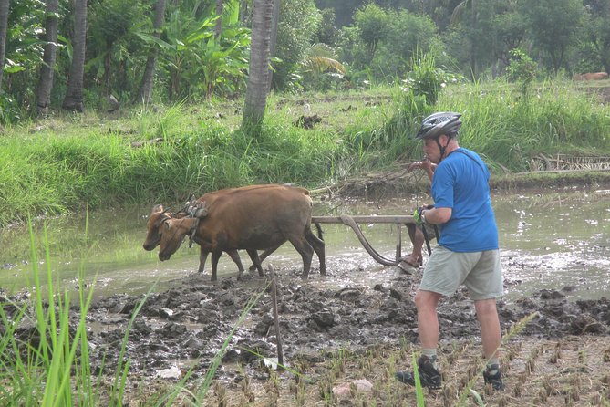 Snorkeling & Trekking at West Bali National Park - Who This Tour Fits Best (And Who Might Want to Rethink)