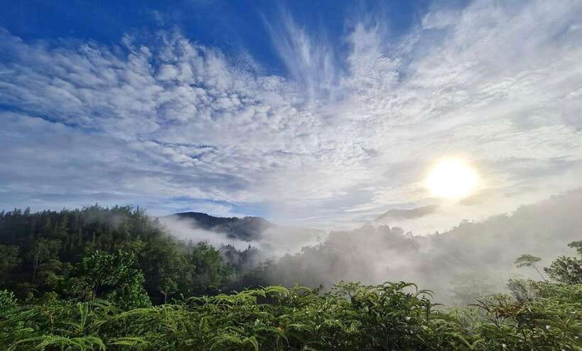 Sri Lanka : Sinharaja Rainforest Guided Trek with Pickup - Sinharaja Rainforest: what makes this UNESCO trek different