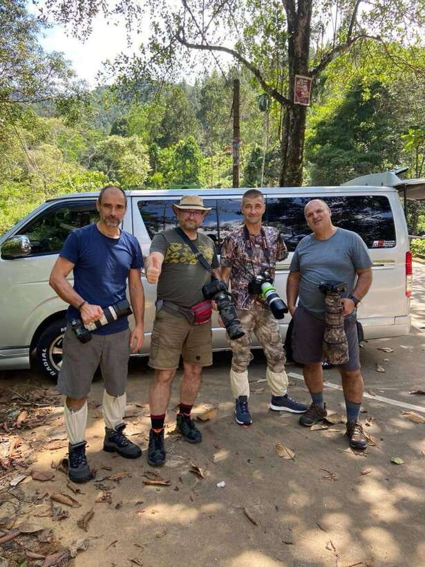Sri Lanka : Sinharaja Rainforest Guided Trek with Pickup - Mammals, reptiles, and amphibians: seeing the full forest story