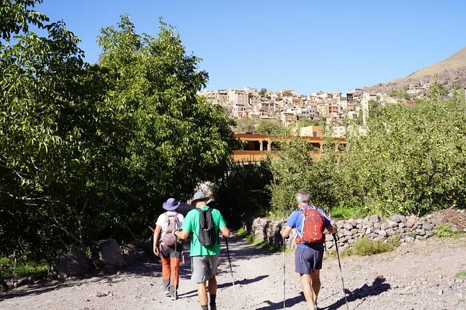 Summiting and Hiking the Atlas Mountains Day Trek from Marrakech - Picnic at Altitude: Lunch That Keeps You From Rushing