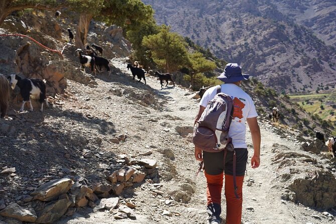 Summiting and Hiking the Atlas Mountains Day Trek from Marrakech - Descending via Tidli Plateau: A Different Trail, a Different View