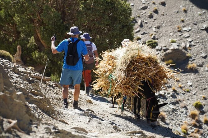 Summiting and Hiking the Atlas Mountains Day Trek from Marrakech - The Full Day Schedule: 9:00 AM Start to Around 6:00 PM Back in Town