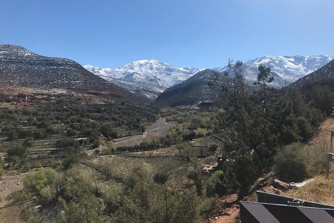 Summiting The Atlas Mountains, Day Hike & Trek From Marrakech - Camel ride included: a fun change of pace