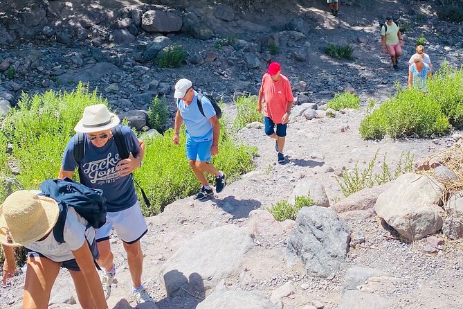 Summiting the Beautiful Atlas Mountains, Day Hike & Trek - Key Highlights You’ll Feel Immediately