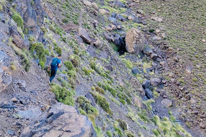 Summiting the Beautiful Atlas Mountains, Day Hike & Trek - Price and Logistics: Is $52.93 Good Value?