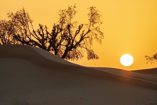 Sunrise/Morning Dune Drive with Camel Trek & Sand Surfing - Why the Red Dunes Feel Different at Sunrise