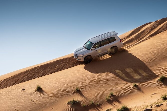 Sunrise/Morning Dune Drive with Camel Trek & Sand Surfing - Dune bashing + sandboarding: the action duo