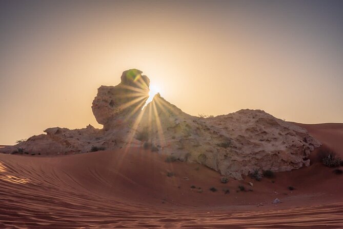 Sunrise/Morning Dune Drive with Camel Trek & Sand Surfing - Camel trek: the slower desert moment