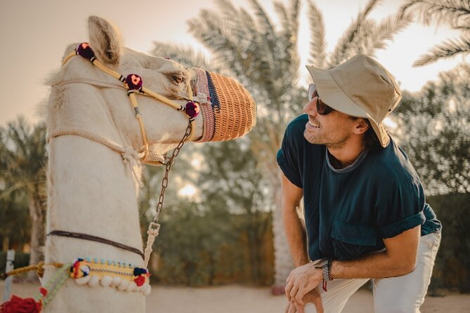 Sunrise/Morning Dune Drive with Camel Trek & Sand Surfing - Sunrise photo stop and the falcon photo question