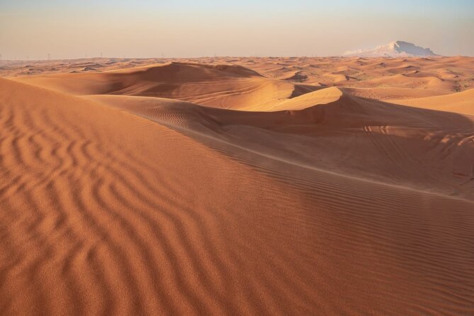 Sunrise/Morning Dune Drive with Camel Trek & Sand Surfing - Price and value: what $219.20 per group really buys