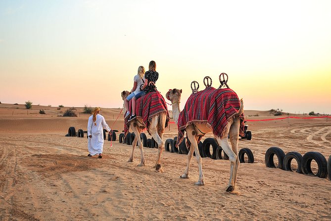 Sunset Camel Trek & Red Dunes Safari with BBQ at Al Khayma Camp From Dubai - The 2:30 PM Setup: How This Timing Shapes the Whole Safari