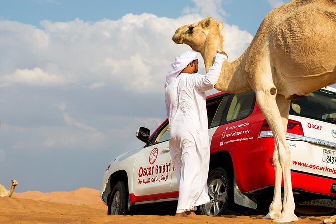 Sunset Camel Trekking with Falcon Show & VIP BBQ Dinner - Key things I’d bet on
