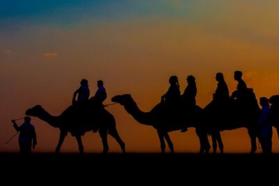 Sunset Camel Trekking with Falcon Show & VIP BBQ Dinner - Pickup in an Air-Conditioned Car: your first win