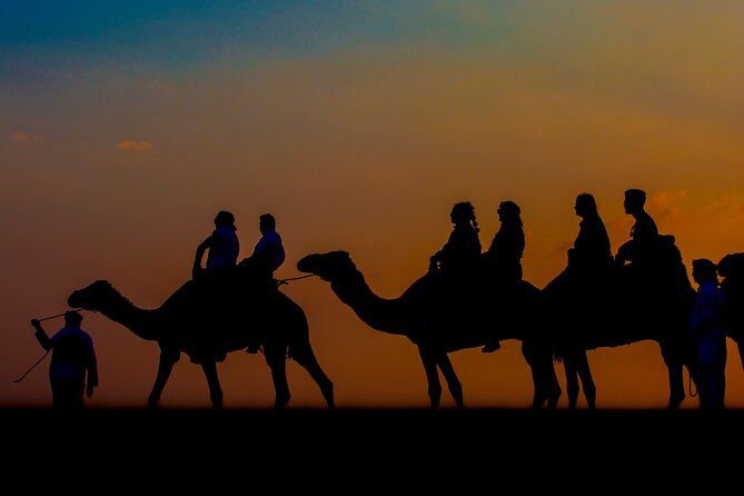 Sunset Camel Trekking with Falcon Show & VIP BBQ Dinner - Pickup in an Air-Conditioned Car: your first win