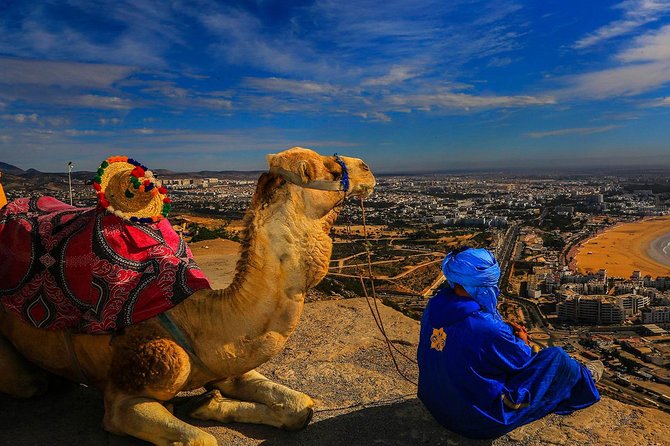 Tangier city break : Scenic Drive and Camel Trek - Group size and guide style: why names matter here