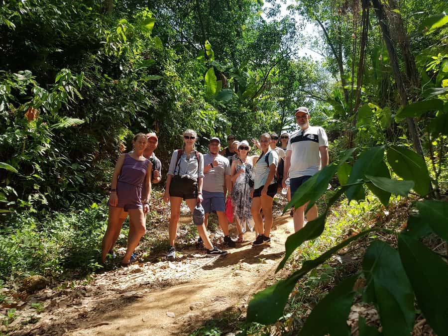 Temple and Jungle Trekking tour with Lunch at Farm-to-Table - Price and Value: What $49 Buys You in Phuket Time