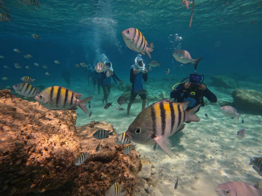 Tenerife: Underwater Walk - Sea Trek Experience - Key things I’d prioritize before you go