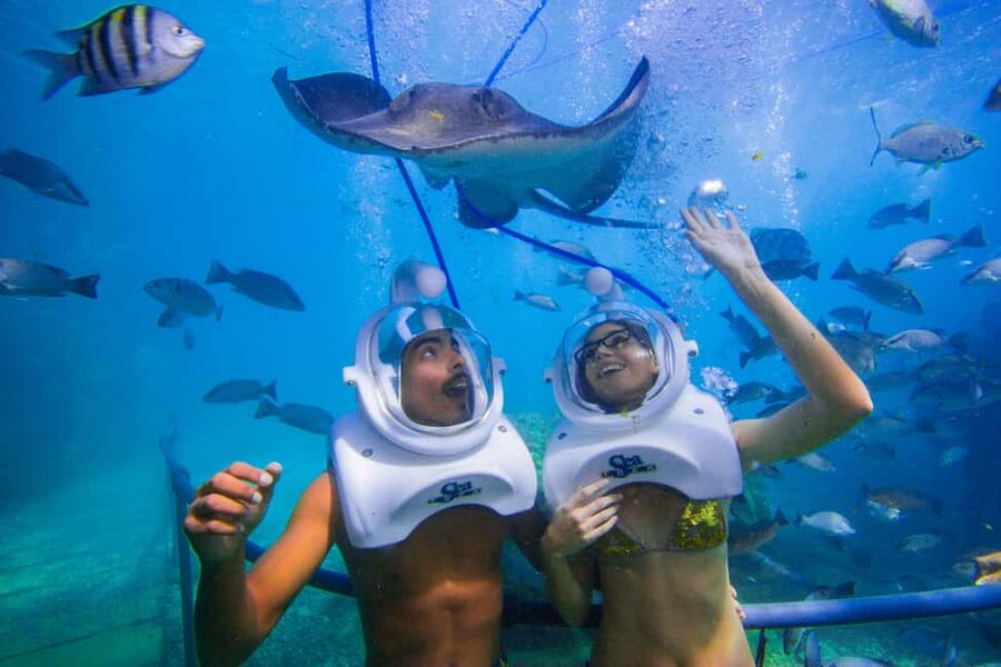 Tenerife: Underwater Walk - Sea Trek Experience - Why this Sea Trek walk feels like the moon (without the mess)