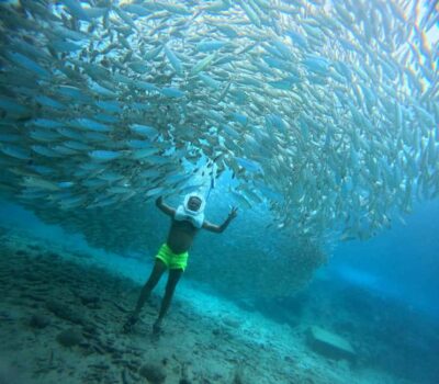 Tenerife: Underwater Walk - Sea Trek Experience - Your 90 minutes in Los Cristianos: briefing to sea-floor walk