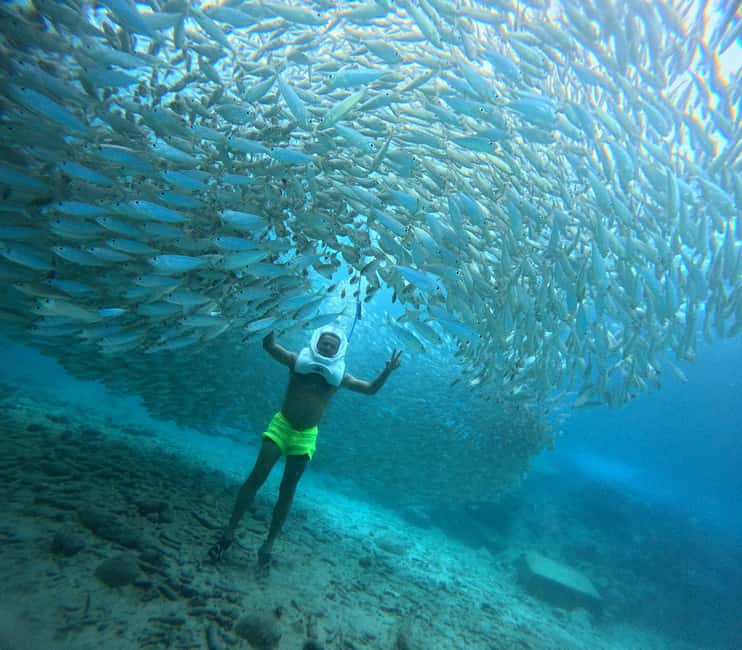 Tenerife: Underwater Walk - Sea Trek Experience - Your 90 minutes in Los Cristianos: briefing to sea-floor walk