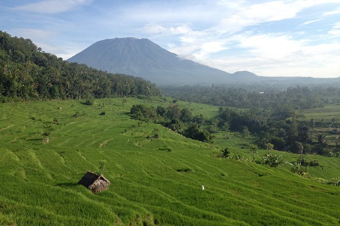 Tenganan Village Rice Field Trekking Tour - Kastala Village start: rice terraces that teach without lecturing