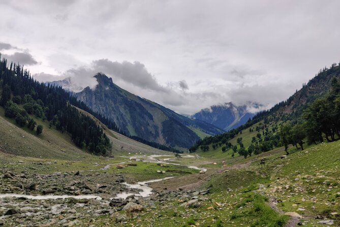 The Best Monsoon Trek: Kashmir Great Lakes - When July timing makes the whole trek
