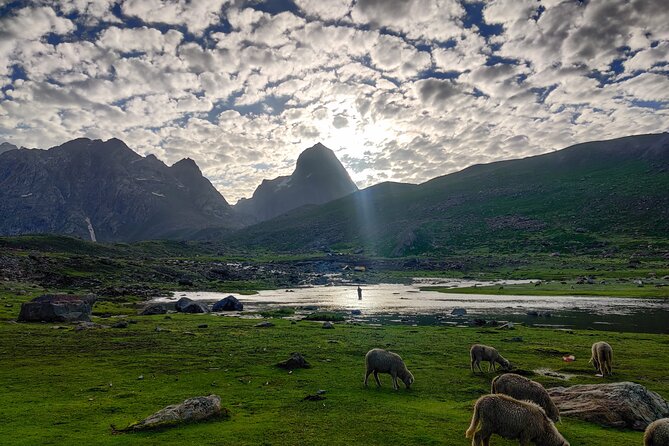 The Best Monsoon Trek: Kashmir Great Lakes - Day 4: Gadsar Lake and the Gadsar Pass challenge