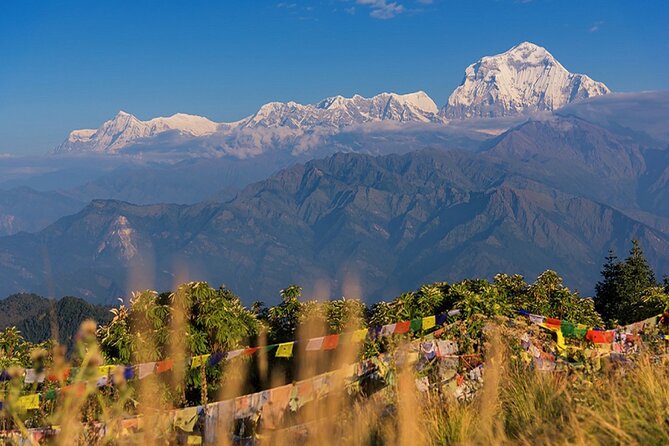 The Best of Nepal : 5-Day Trek to Ghorepani Poon Hill & Ghandruk - From Pokhara to Ulleri: The Start That Builds Momentum