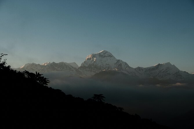 The Best of Nepal : 5-Day Trek to Ghorepani Poon Hill & Ghandruk - Price and Logistics: What $420 Covers (and What It Doesn’t)