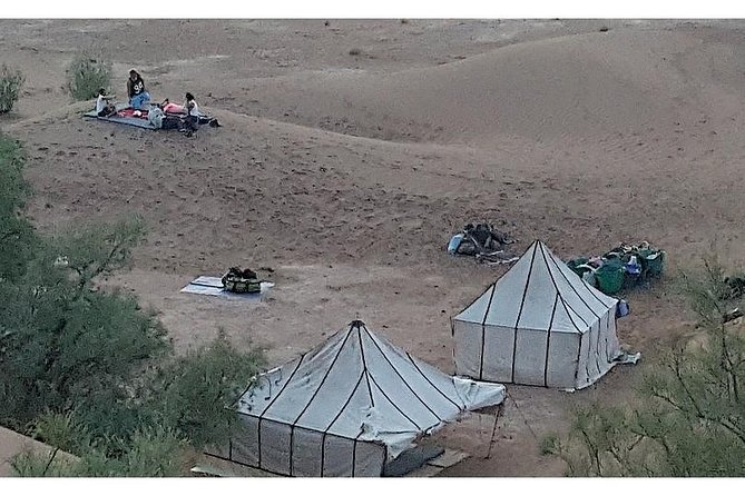The secret of the camel trekking desert - M’hamid and Ras N’Khal: the easy on-ramp into dune walking