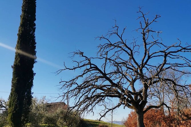The spell of Lake Trasimeno - Trekking Tour - Why the frazione route and folklore are the point, not the scenery race