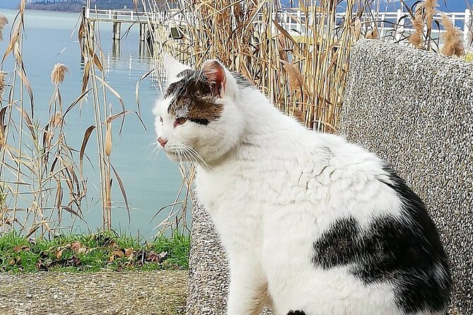 The spell of Lake Trasimeno - Trekking Tour - Who this trekking tour suits best (and who should think twice)