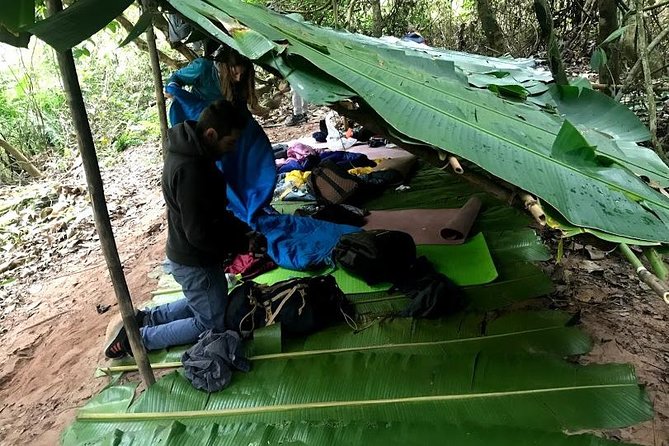The Ultimate Hiker’s Choice - 5 days forest trek with homestay and camping - Day 2: jungle breakfast, plant lessons, and a simple night under trees