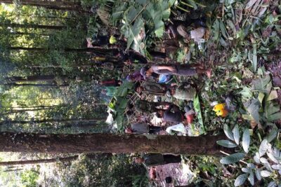 The Wild Explorer - 3 days forest trek with homestay and camping - Day 1 in the forest: settling in, learning camp basics, eating local style