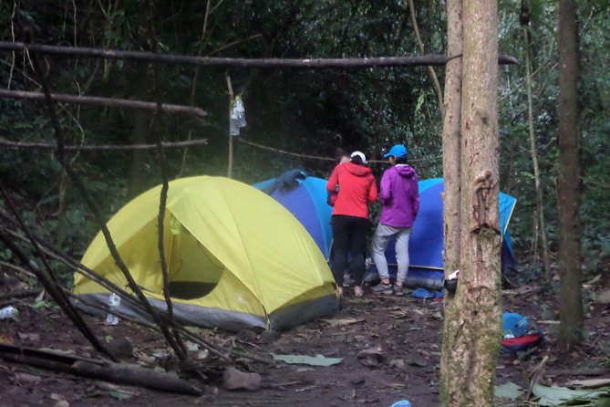 The Wild Explorer - 3 days forest trek with homestay and camping - Day 3: breakfast, a sunrise-style finish, and back to Luang Namtha