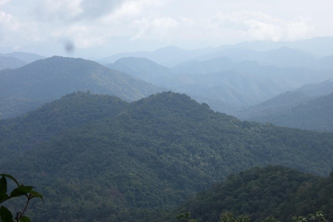 The Wild Explorer - 3 days forest trek with homestay and camping - Food on trek: wild vegetables and bamboo-tube cooking that keeps you fueled