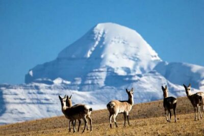 Tibet Tour 15 Days Lhasa to Kailash Trekking Small Group via EBC - Day 1 in Lhasa: getting set up and letting your body catch up