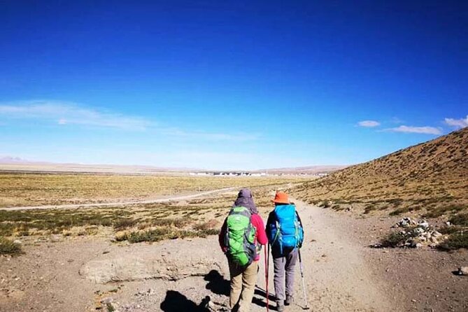 Tibet Tour 15 Days Lhasa to Kailash Trekking Small Group via EBC - Manasarovar wetlands to Darchen: preparing for the Kailash Kora