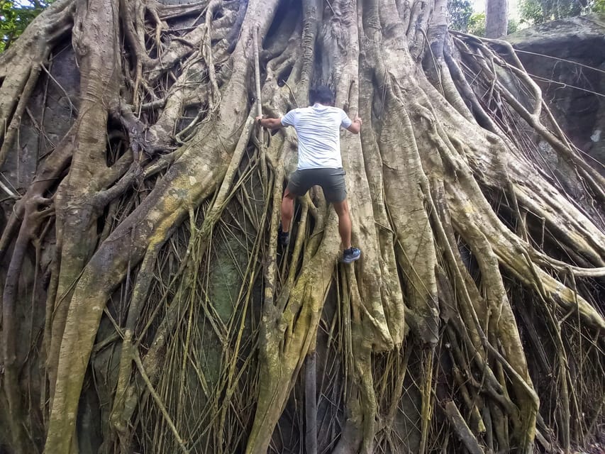 Tien Son Dinh 1-Day Trekking Tour Phu Quoc - Stop-by-stop: how the day unfolds on Tien Son Dinh