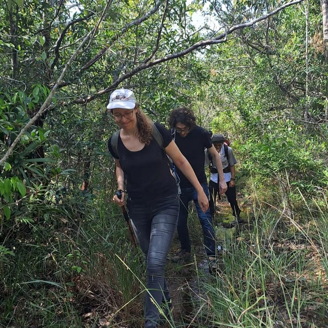 Tien Son Dinh 1-Day Trekking Tour Phu Quoc - Price and value: is $96 fair for this trek?
