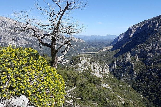 Tiscali mount guided hike - Reaching the doline: seeing the ancient village like a bonus character
